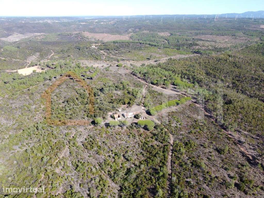Herdade com 276 ha, enorme potencial para investidores! - Grande imagem: 3/26