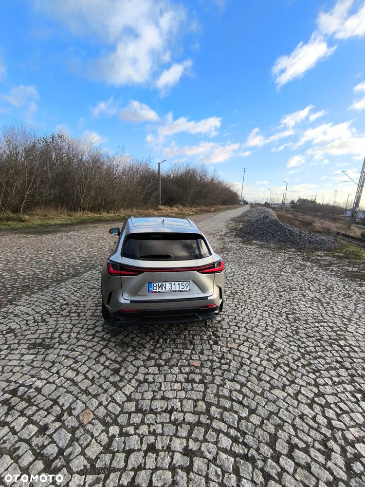 Lexus NX - 27