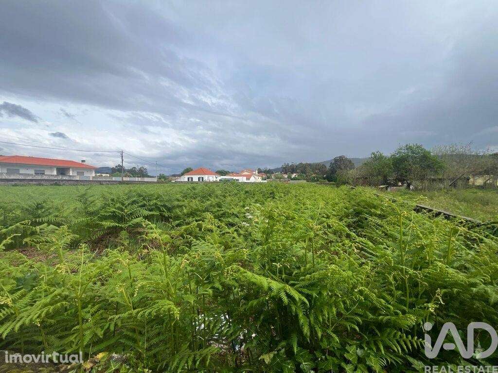 Terreno Agrícola em Barroselas e Carvoeiro - Grande imagem: 2/13