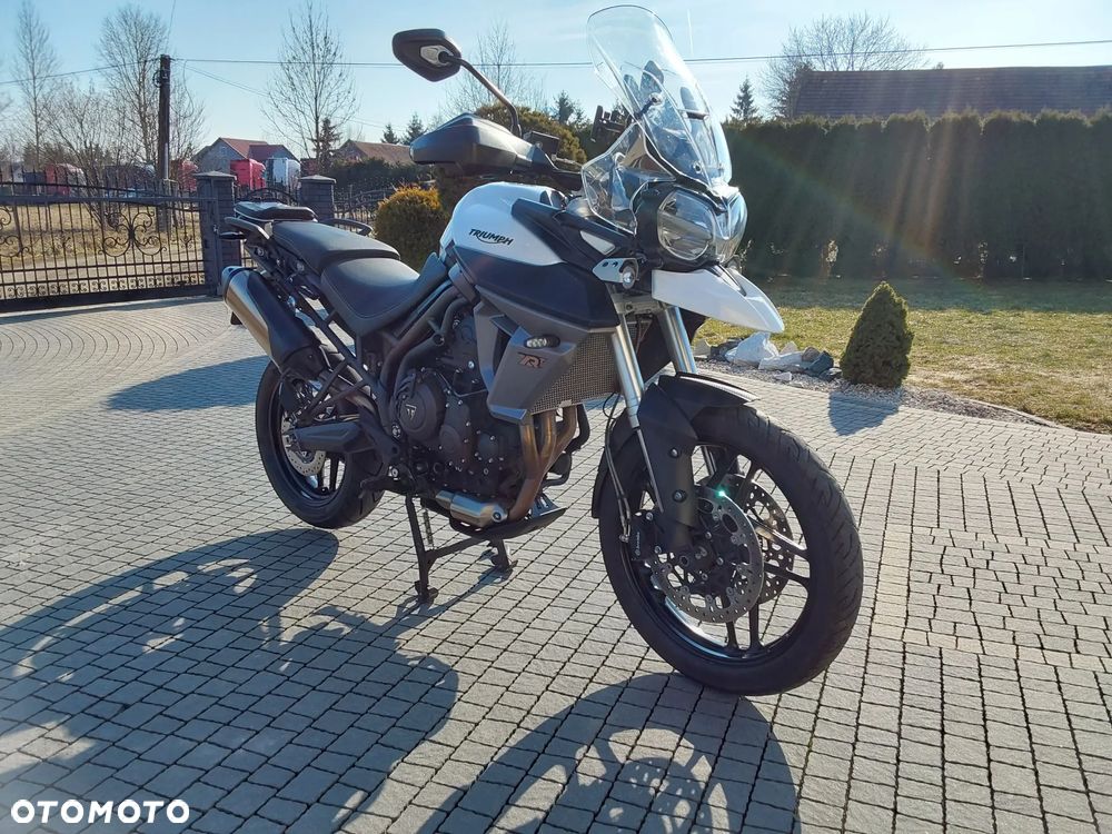 Triumph Tiger - 2