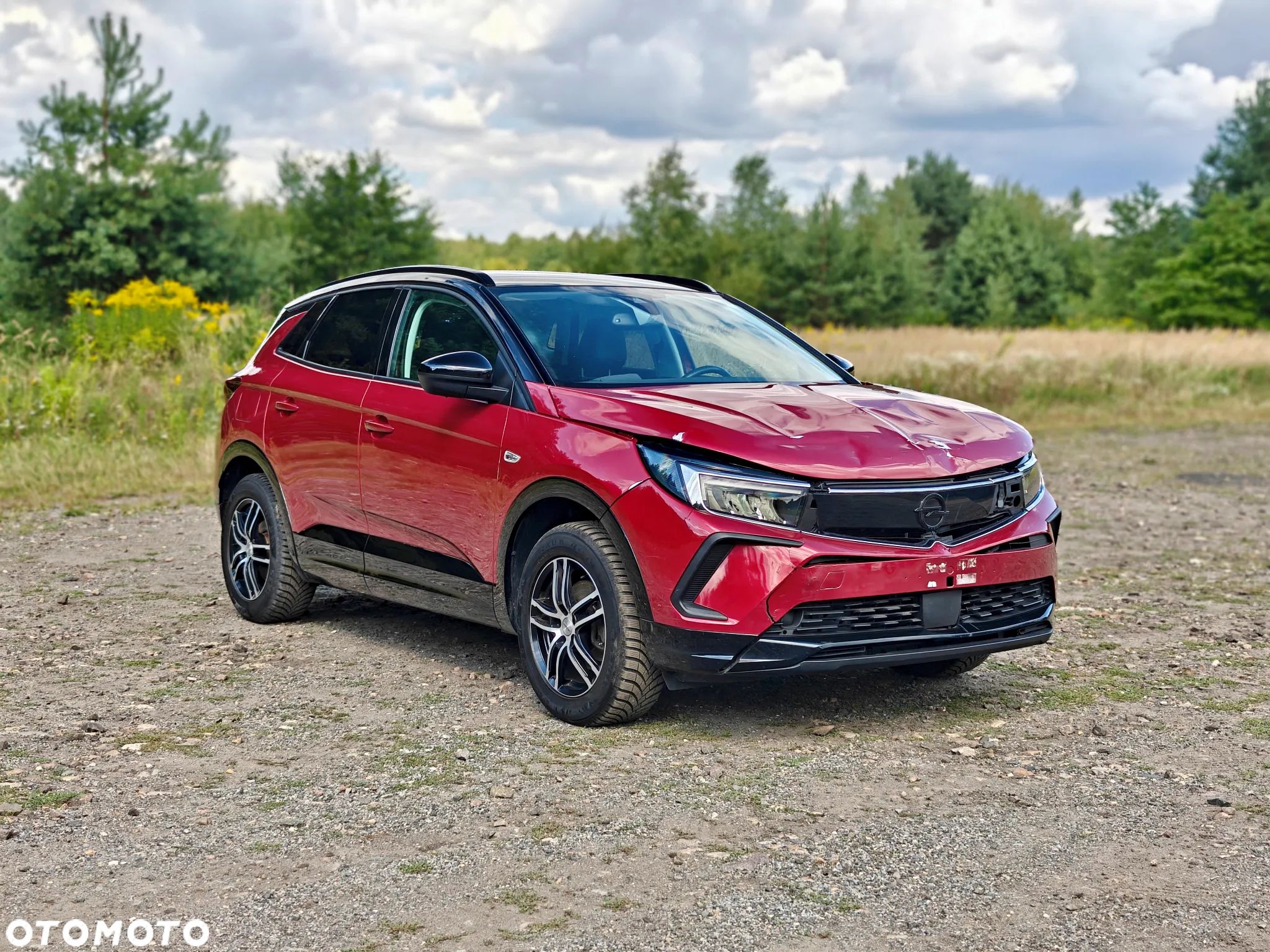Opel Grandland X 1.2 T GPF Elite S&S - 1