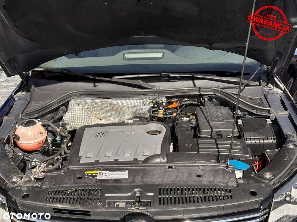 Volkswagen Tiguan - 39
