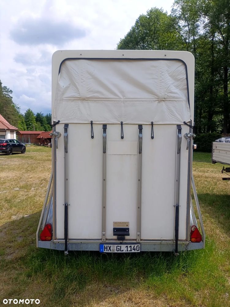Blomert - 7