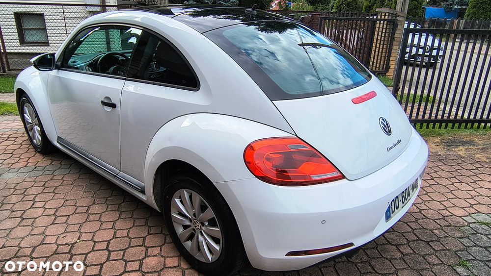 Volkswagen Beetle - 10