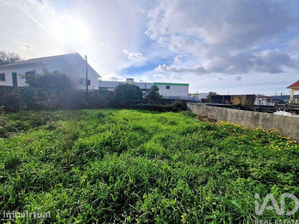 Terreno Agrícola em Santa Marta de Portuzelo - Grande imagem: 5/14