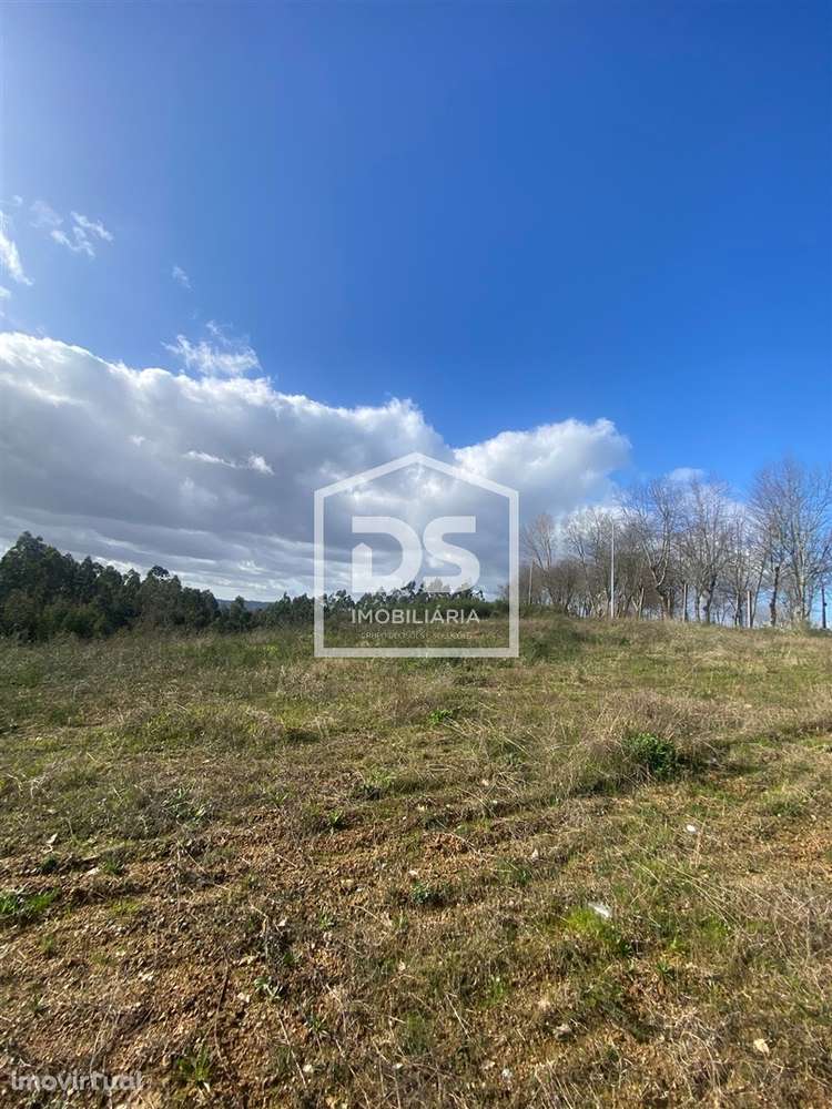 Terreno Rústico  Venda em Macieira da Lixa e Caramos,Felgueiras - Grande imagem: 5/14