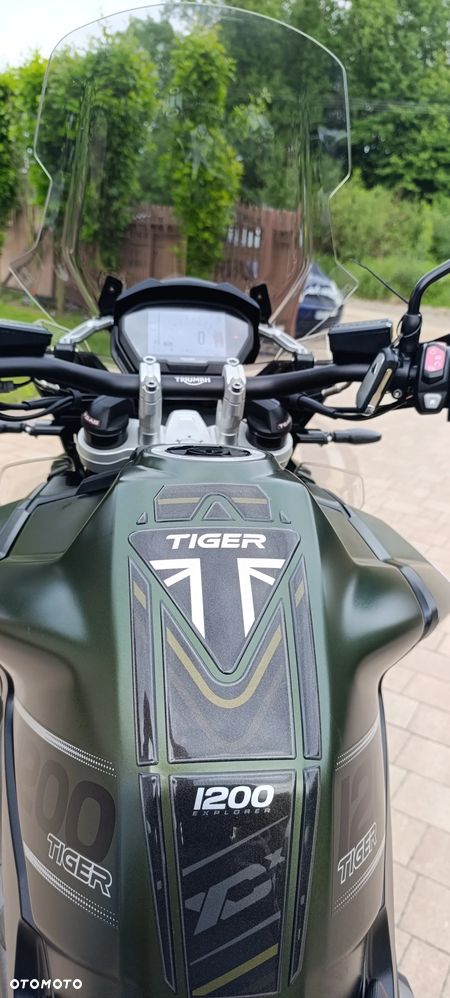 Triumph Tiger - 13