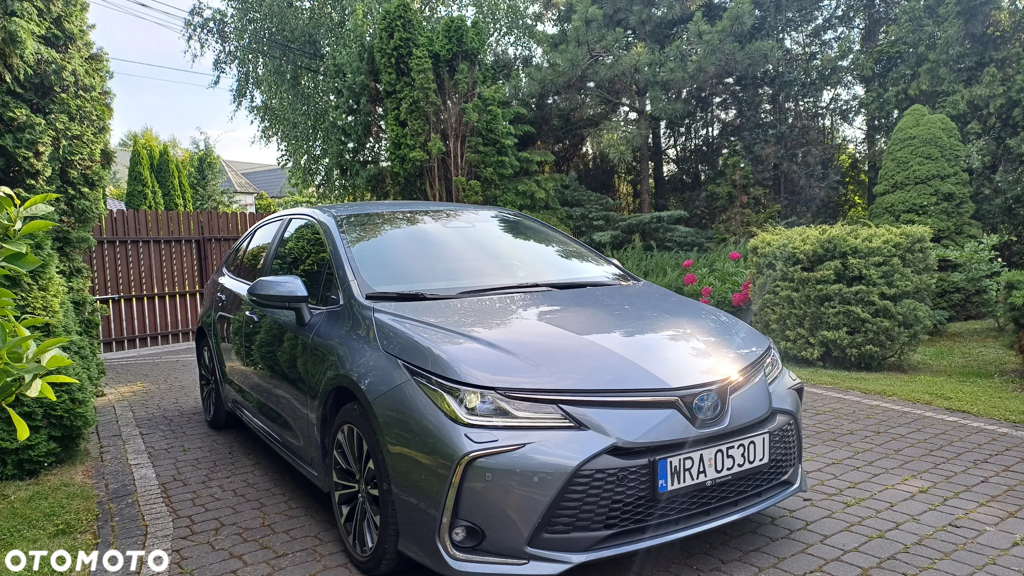 Toyota Corolla - 8