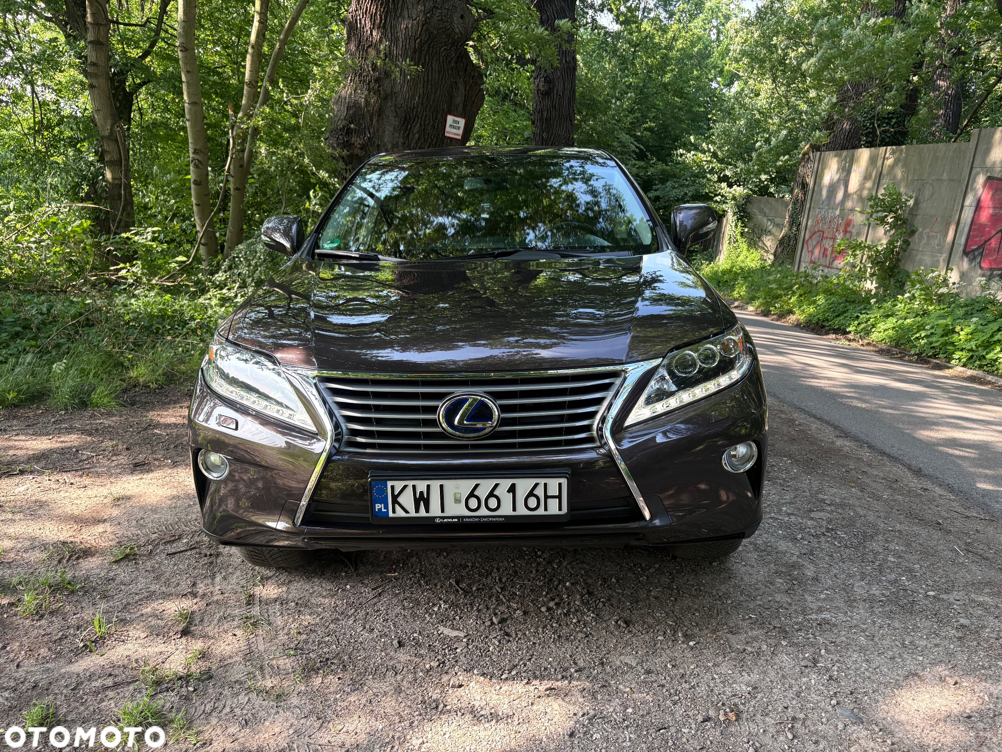 Lexus RX - 7