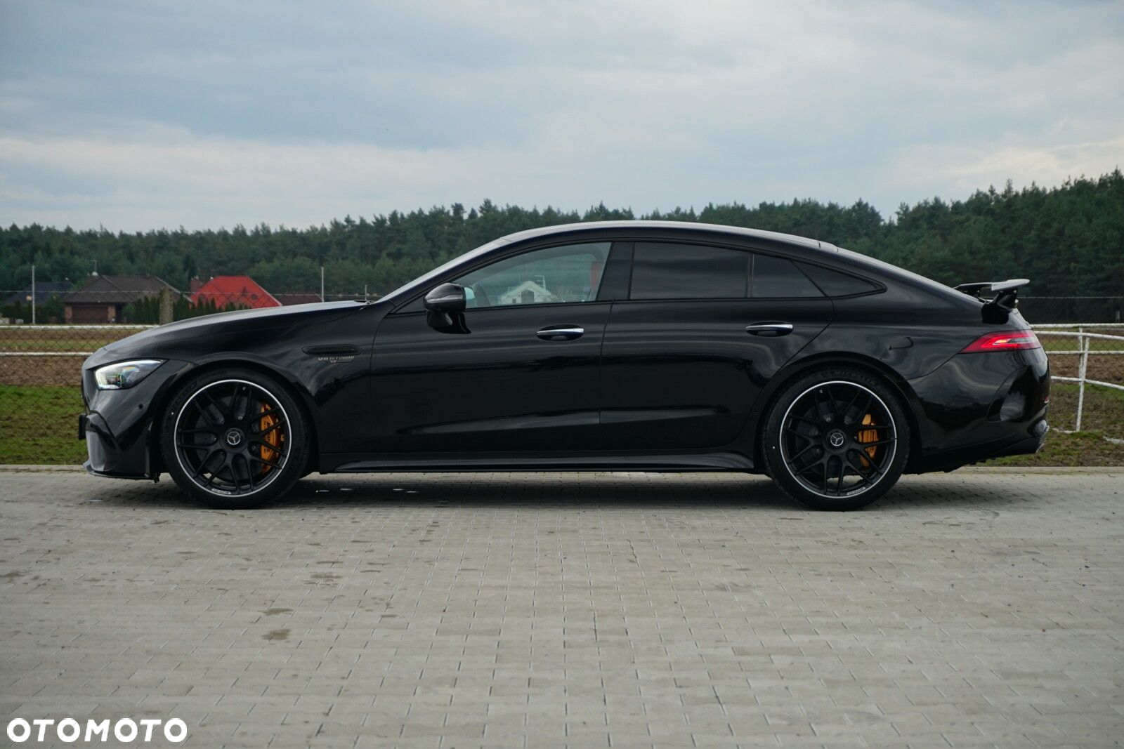 Mercedes-Benz AMG GT - 6