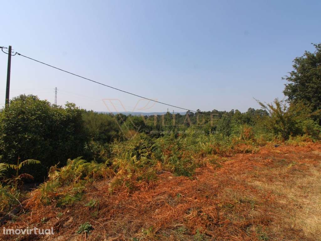 Terreno - Grande imagem: 5/7