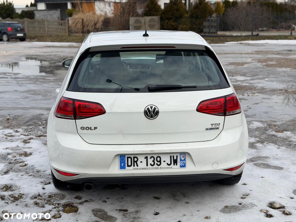 Volkswagen Golf 1.6 TDI BlueMotion Technology Trendline - 6