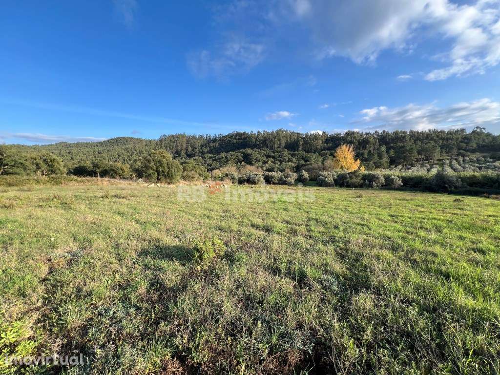 3 x Terrenos Rústicos - Tomar - Grande imagem: 4/29