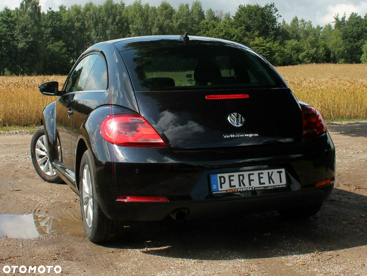 Volkswagen Beetle - 13