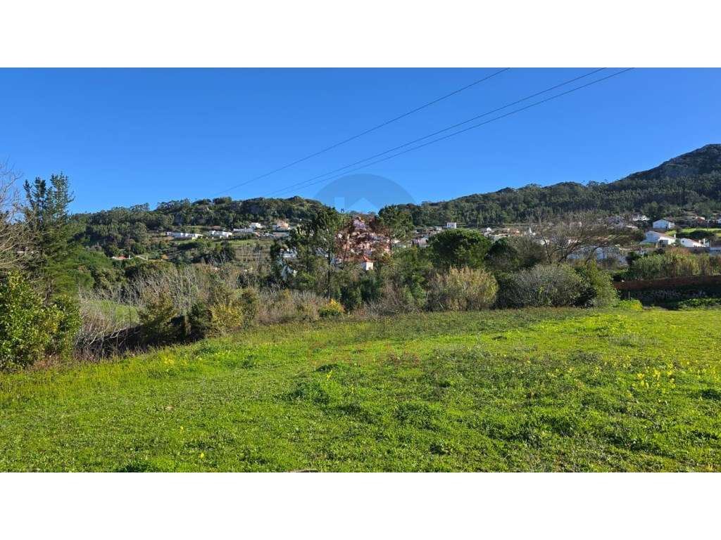 Terreno Exclusivo de 12.000 m² na Serra de Montejunto - Onde a Natu... - Grande imagem: 5/20