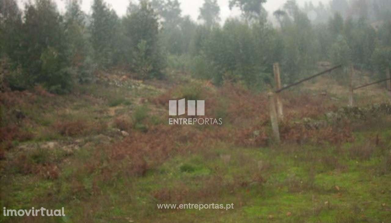 Venda Terreno, Várzea do Douro, Marco de Canaveses - Grande imagem: 3/6