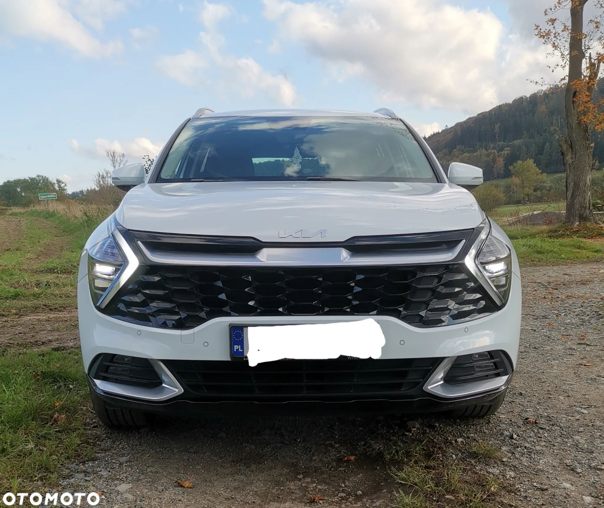 Kia Sportage 1.6 T-GDI Business Line 2WD - 2