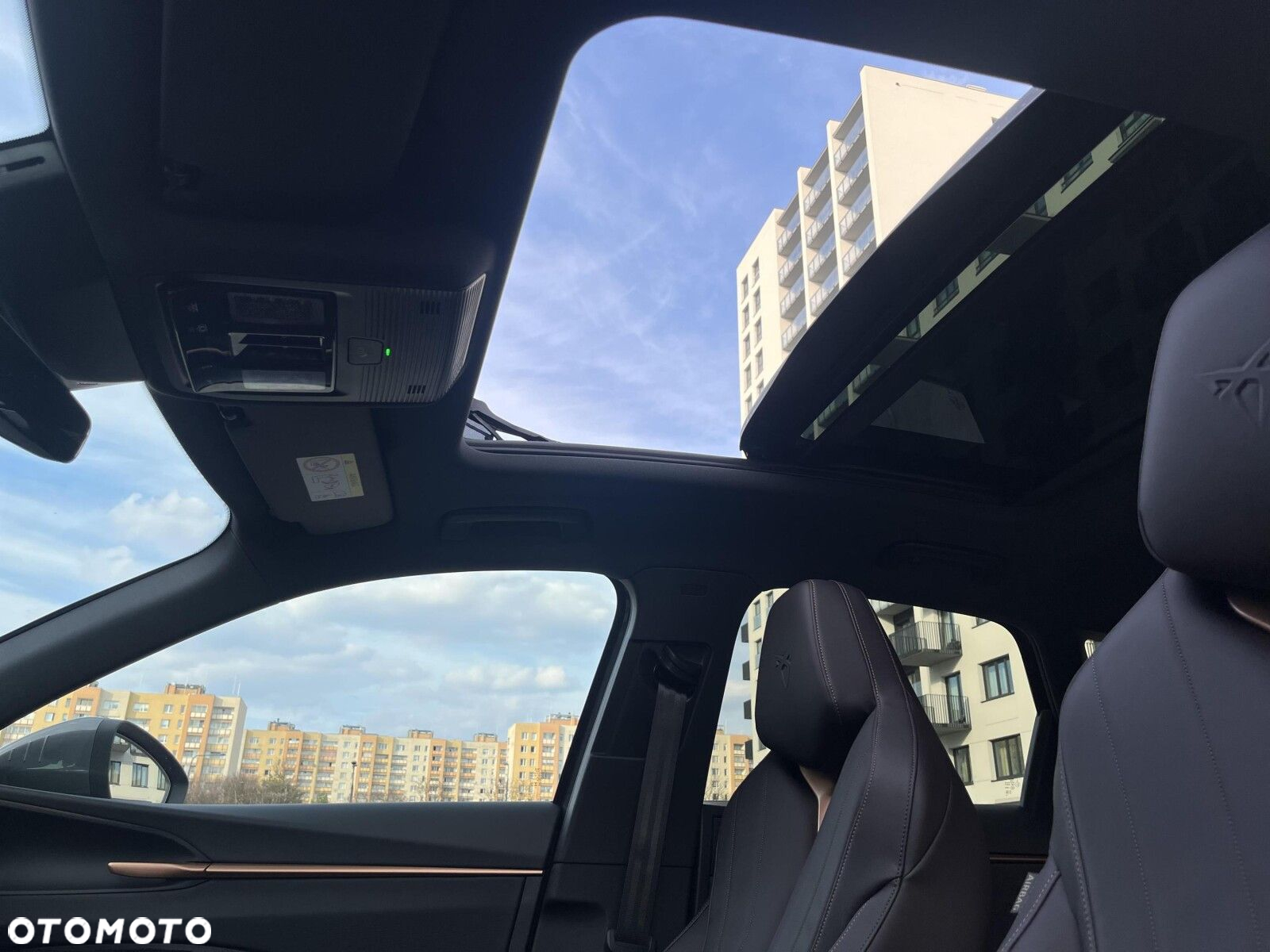 Cupra Terramar - 22