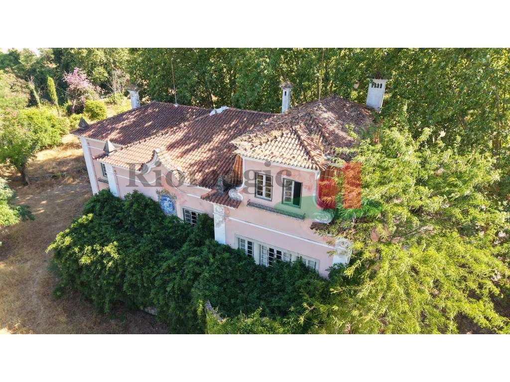 Quinta T5+ ***RIOMAGIC*** - Grande imagem: 3/60