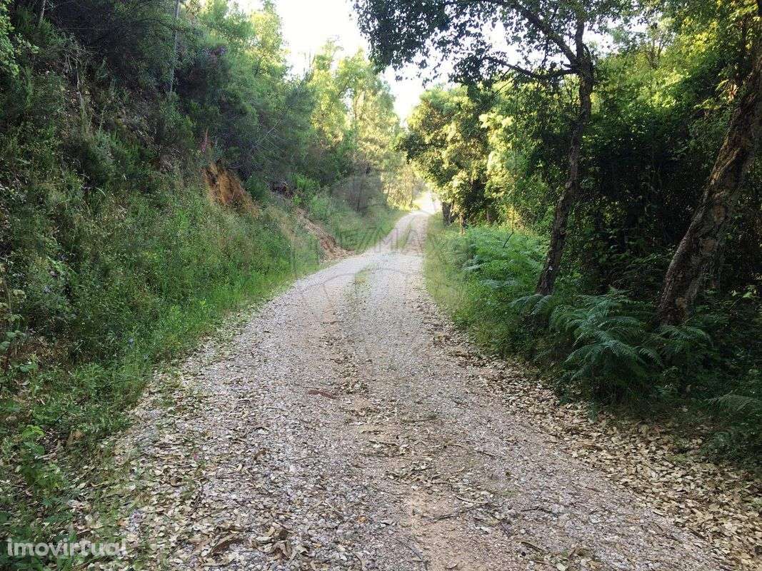 Terreno  para venda - Grande imagem: 3/11