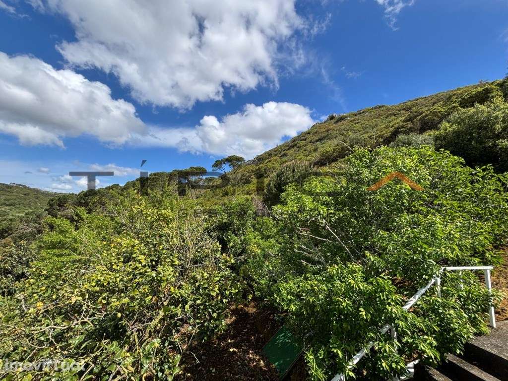 Moradia em vale encantado - Grande imagem: 2/15