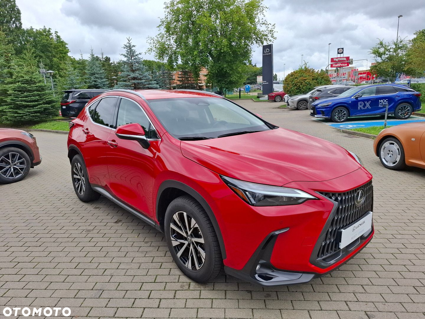 Lexus NX - 7