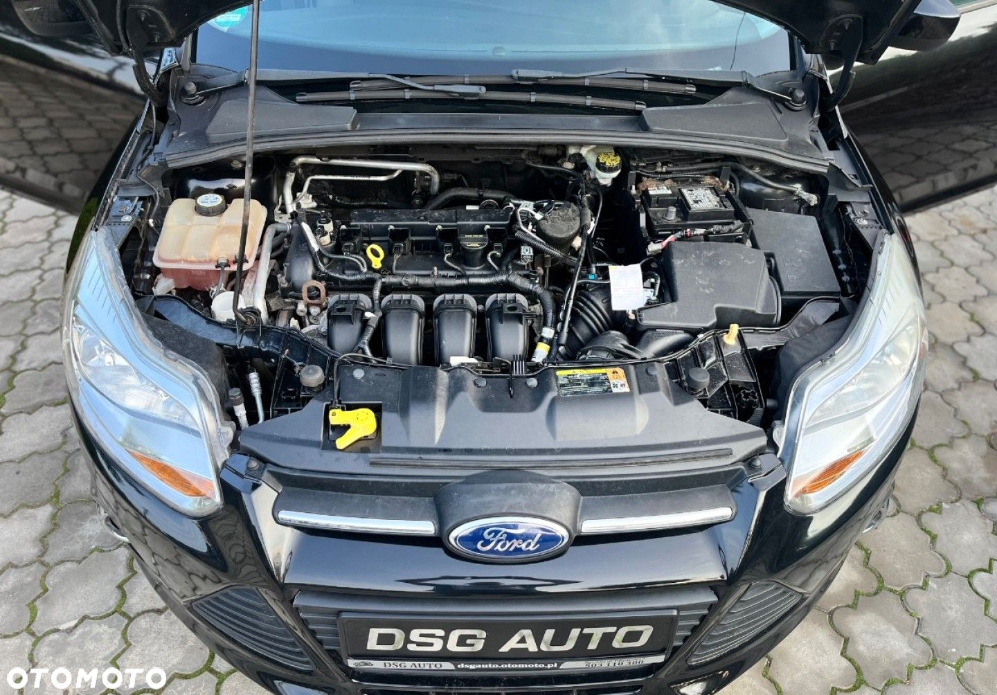 Ford Focus - 33