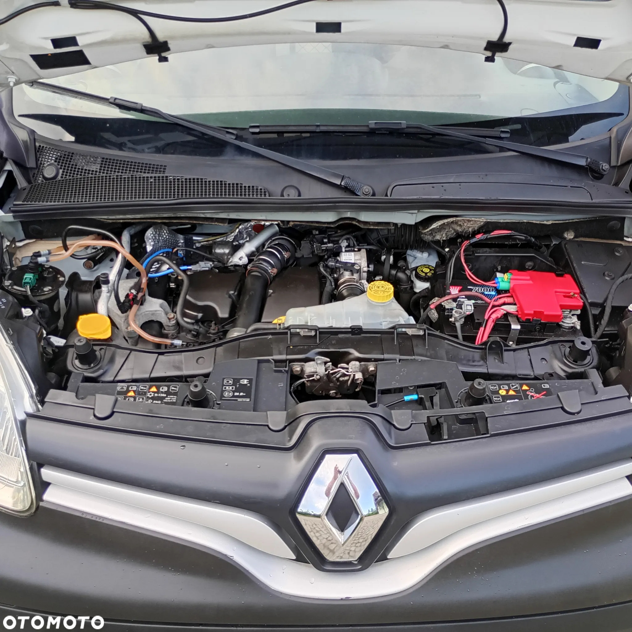 Renault Kangoo - 20
