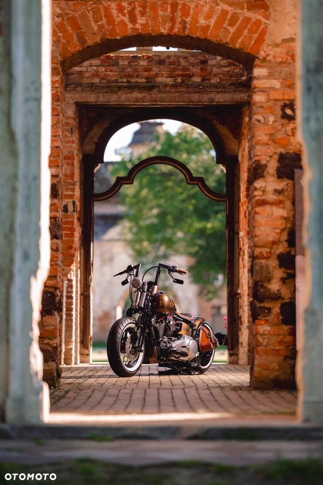 Harley-Davidson Softail Cross Bones - 12