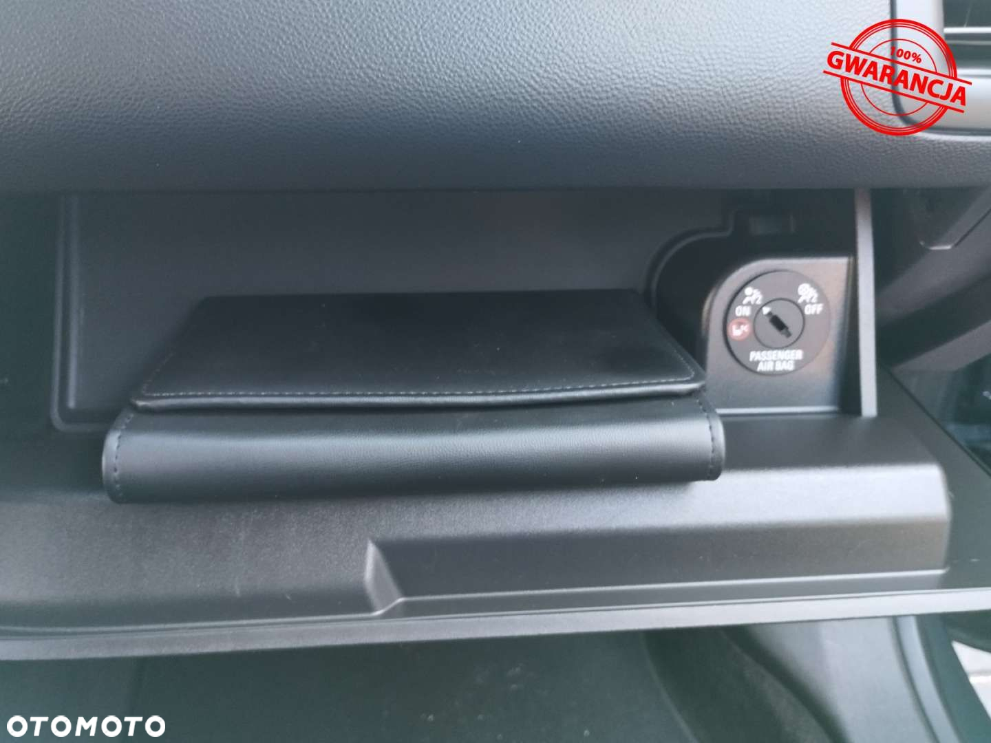 Opel Ampera - 30
