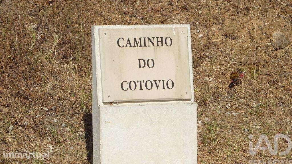 Terreno misto em Ferreiras - Grande imagem: 3/23