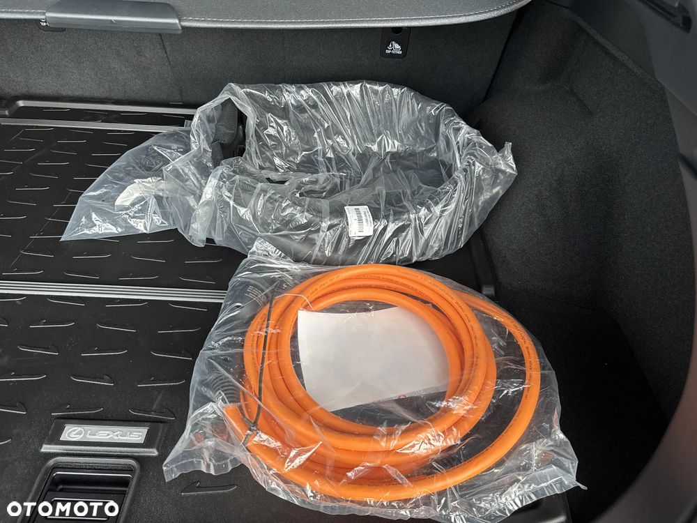 Lexus RX 450h+ Prestige - 21