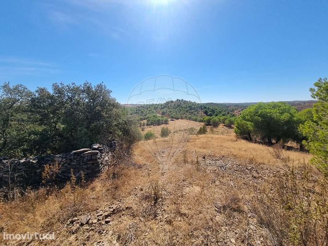 Terreno  para venda - Grande imagem: 2/13