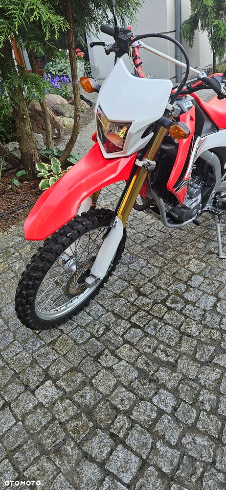 Honda CRF - 6