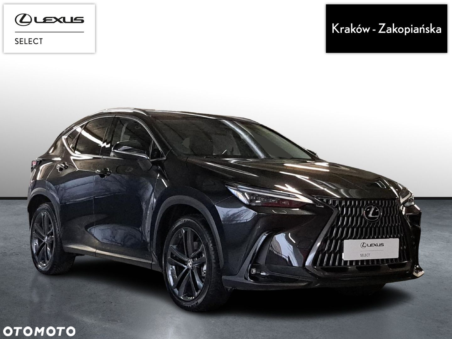 Lexus NX - 2