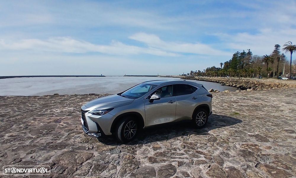 Lexus NX 450h+ - 1