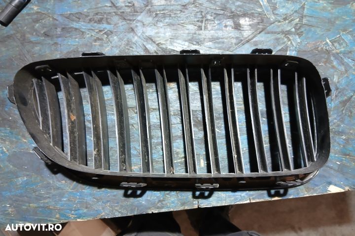 Grila radiator 2165539 7203649 7200727 2165539 7203649 7200727 BMW Se - 2