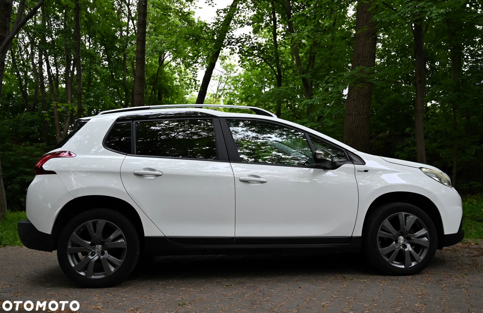 Peugeot 2008 1.6 BlueHDi Active - 15
