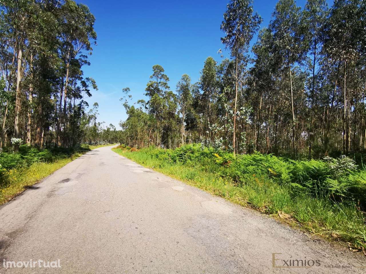 Terreno rústico, em Rates - Grande imagem: 3/6