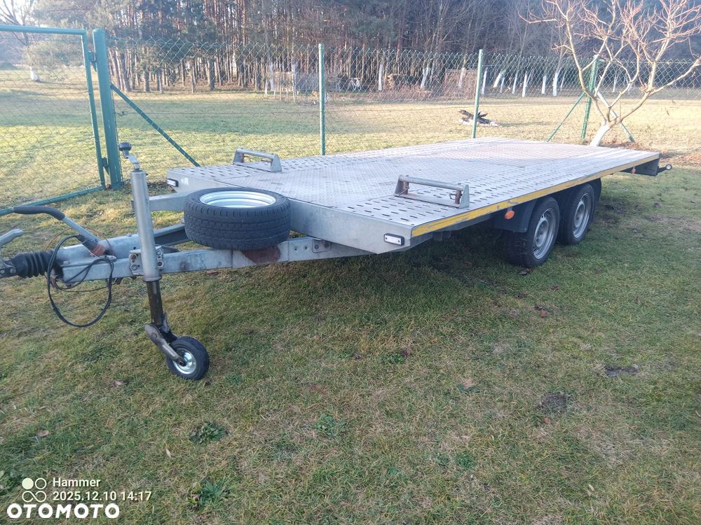 Niewiadów BORO MARS - 4