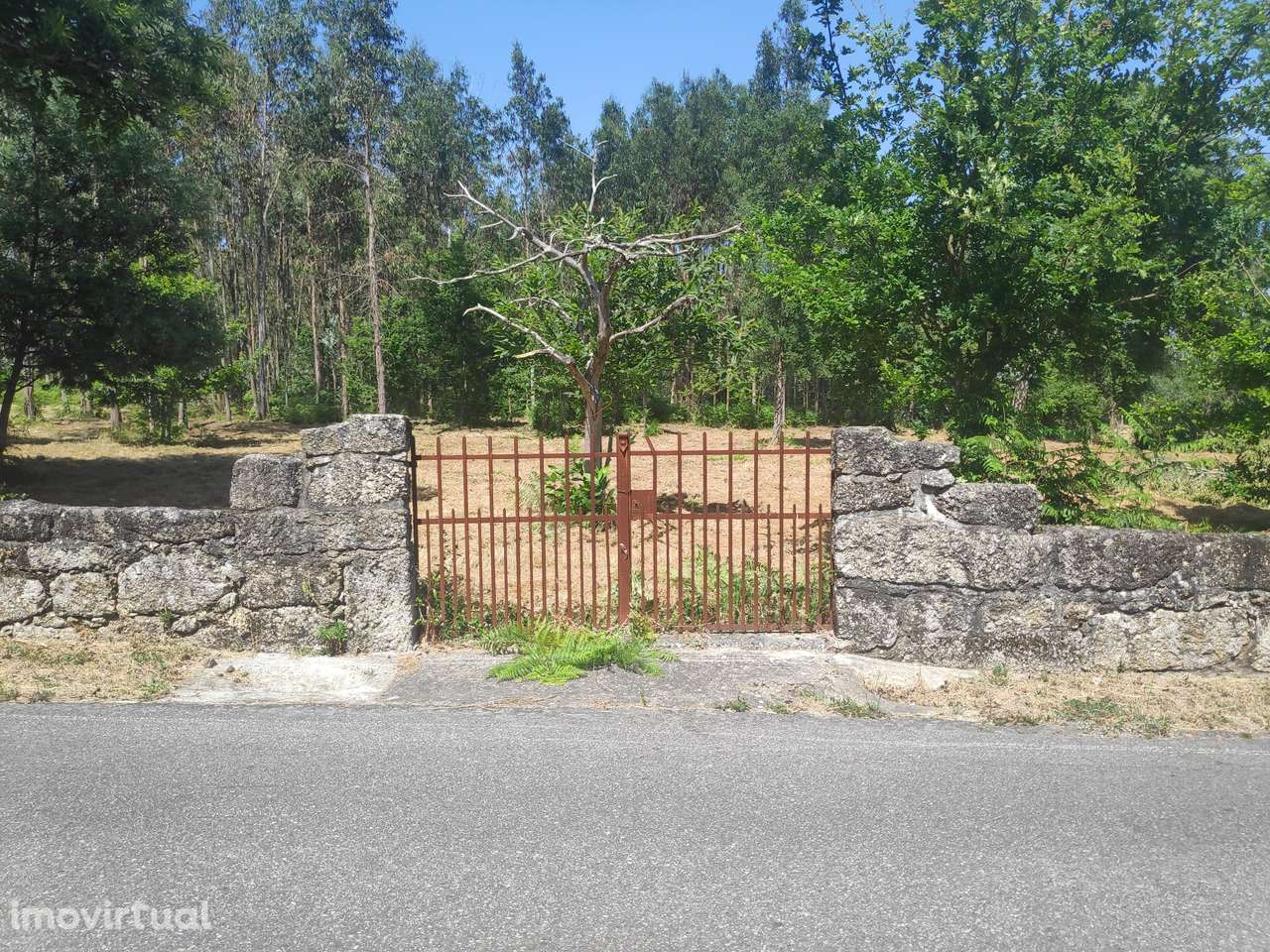 Fantástica Quinta para Construção - Grande imagem: 2/24