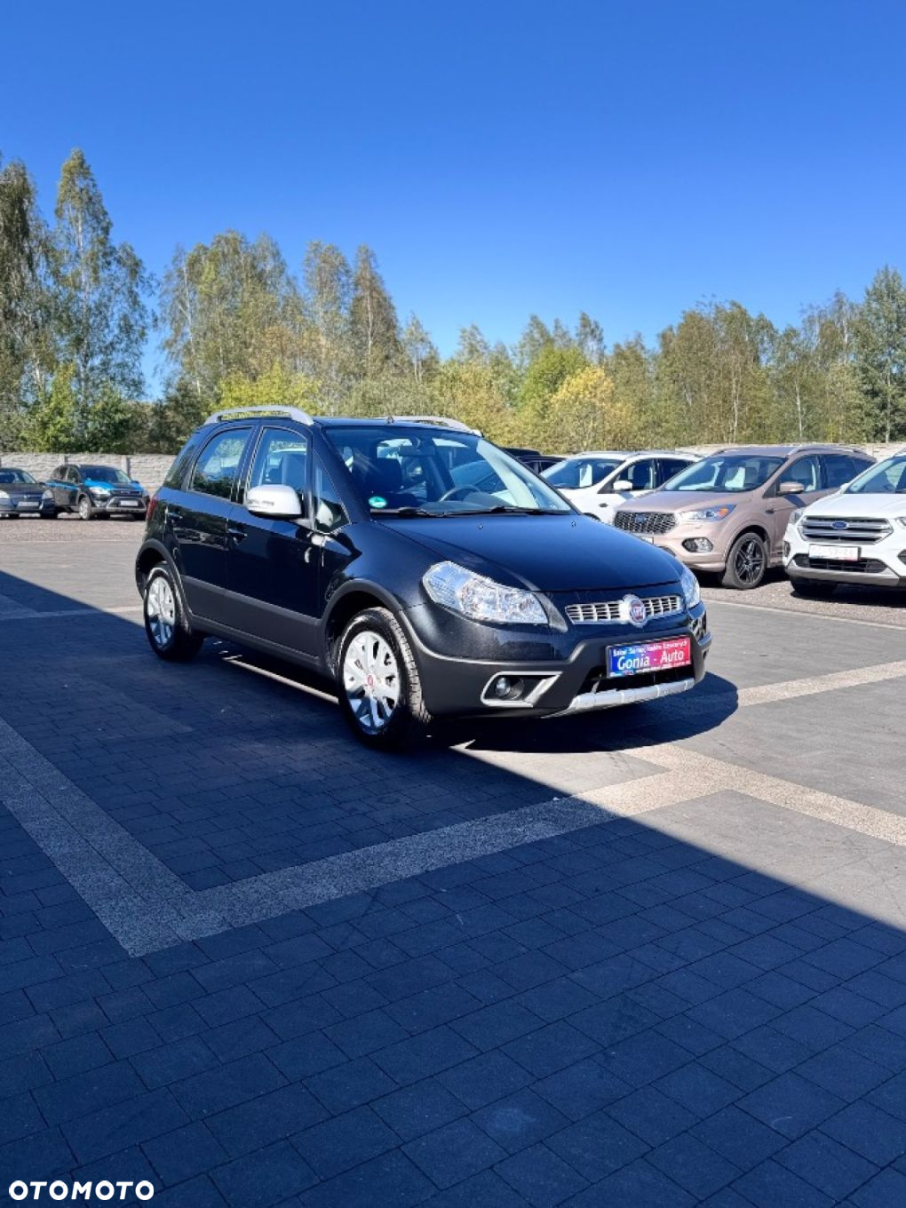 Fiat Sedici - 4