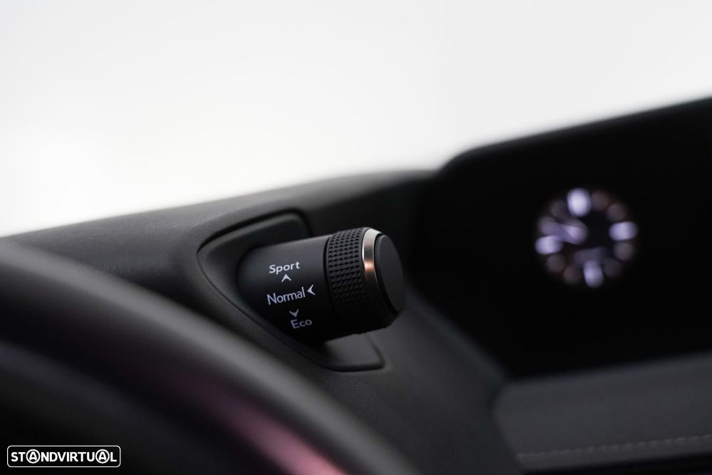 Lexus UX 300e Luxury - 11