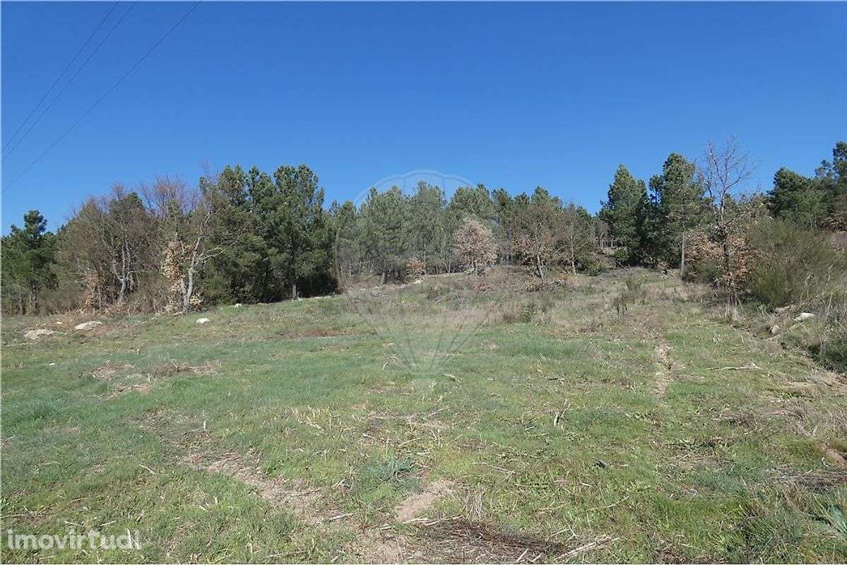 Terreno - Rossas - Ferreirim - Grande imagem: 3/7