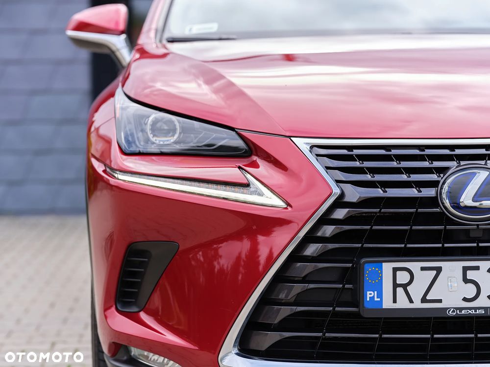 Lexus NX 300h Elegance + Business AWD - 22