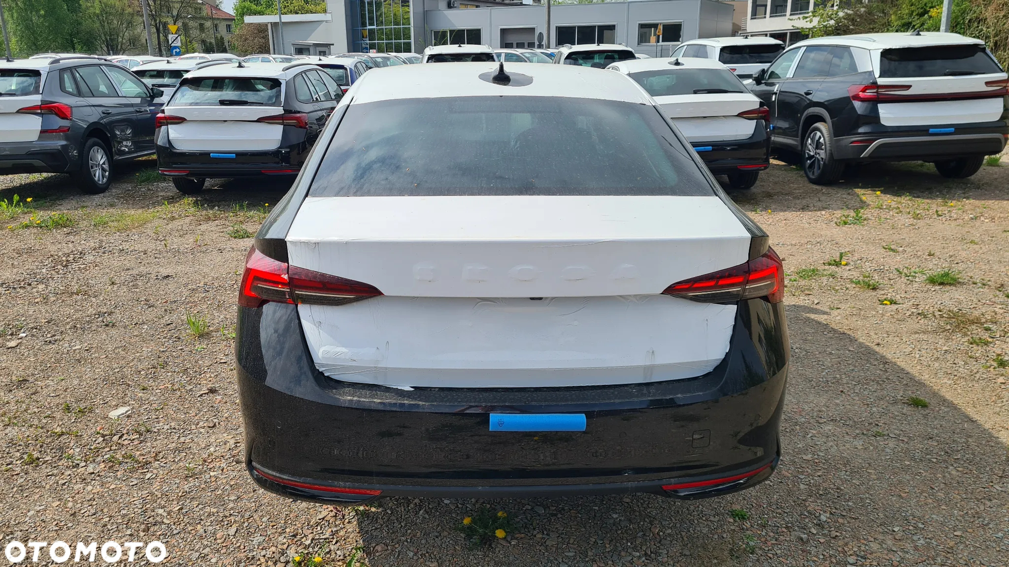 Skoda Octavia - 6