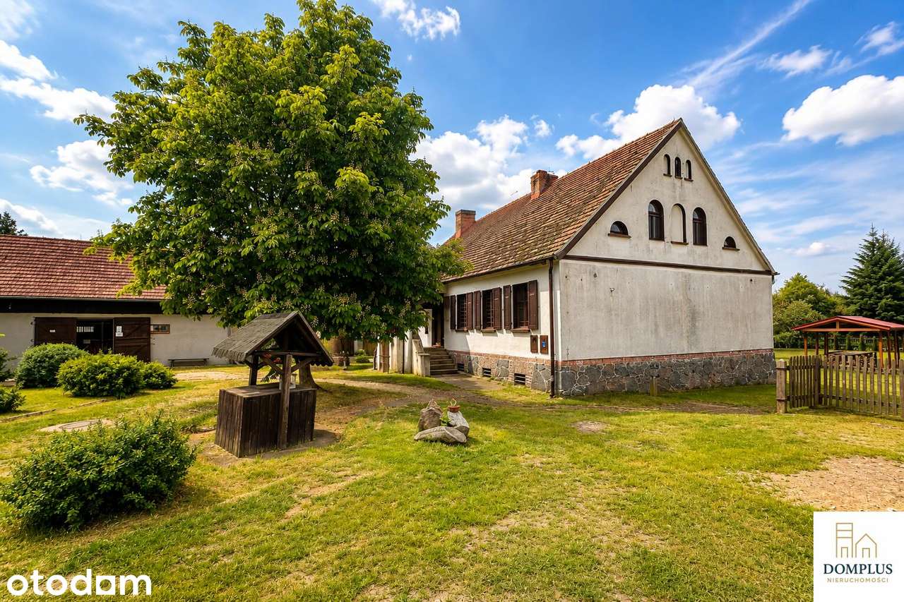Gotowa  stadnina pod turystykę, rajdy , rekreacja. - Pełny obrazek: 2/20