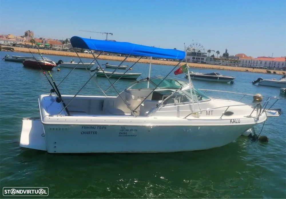 Pro-Line 220 Cuddy Fish - 23