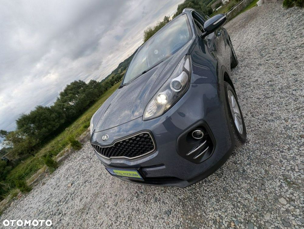 Kia Sportage - 14