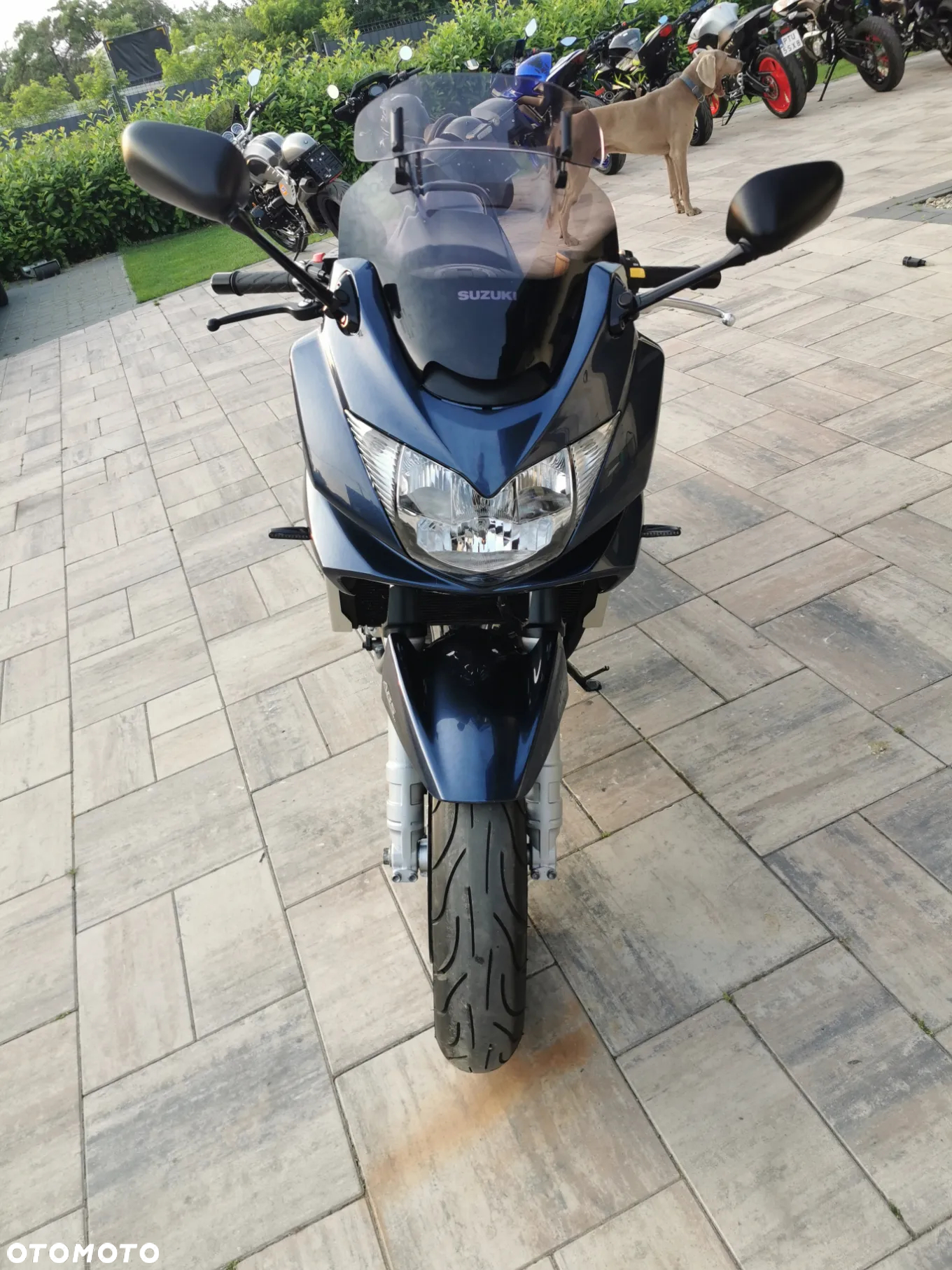 Suzuki Bandit - 29